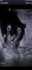 36254BDE-45D8-44FF-B8DF-528F55704508.png