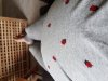 20180513_114923.jpg