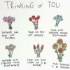 FB_IMG_1526222080479.jpg