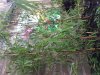 20180514_202734.jpg
