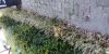 20180504_175515.jpg