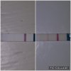 Collage 2018-03-21 04_29_35.jpg