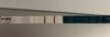 E34B8266-6770-4005-8109-0834D8D0E745.jpeg