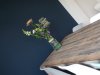 20180515_205250.jpg