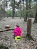 IMG_20180428_115450.jpg