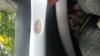 20180519_135317.jpg