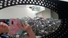 IMG-20180522-WA0000.jpeg