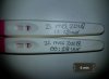 Foto3.jpg
