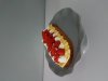 20180510_095613.jpg