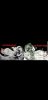 Screenshot_20180523-144259_WhatsApp.jpg
