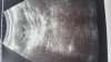 20180523_172921.jpg