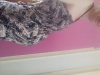 20180525_123257.jpg