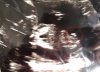 EB78E8A6-350E-4F25-AA07-A9F91D9D6913.jpeg