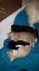 IMG-20180517-WA0004.jpg