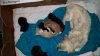 IMG-20180517-WA0003.jpg