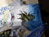 20180527_161956.jpg