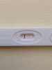 14 dpo.JPG