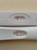 14dpo.1.JPG