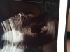 E1601064-9428-4DE4-83A8-321B47ADC74A.jpeg