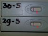 P93_1.jpeg