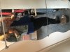 AC70D81A-4DC2-4D88-80B0-725647F75694.jpeg