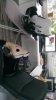 IMG-20180601-WA0009.jpeg