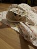 IMG-20180531-WA0011.jpg