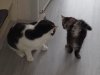 20180602_152930.jpg