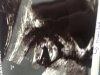 45532AE2-E7EC-4C43-BE4E-34FFE51A318C.jpeg