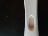 20180604_053240.jpg