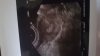 IMG-20180604-WA0011.jpeg