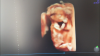 2834E30A-D370-4C3F-B174-E8A01F4EF3C4.png