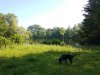 20180606_092226.jpg