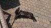 DSC_1799.JPG
