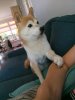 IMG_20180606_132946.jpg