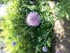 20180606_134242.jpg