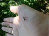 20180606_134233.jpg