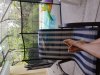 20180607_100617.jpg