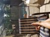 20180607_162658.jpg