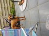 20180608_084953.jpg