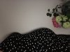 13FEEBA3-008D-415B-8914-AB6BD8F58B38.jpeg