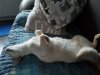 20180608_214828.jpg