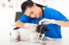depositphotos_22721545-stockafbeelding-dierenarts-onderzoek-huisdier-hond-oor.jpg