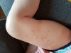 20180610_080349.jpg