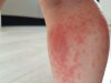 20180610_092453.jpg