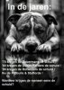 FB_IMG_1528651153952.jpg
