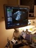 IMG-20180612-WA0001.jpg