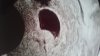 IMG-20180614-WA0001.jpeg