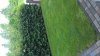WP_20180615_08_28_18_Pro.jpg