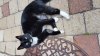 20180615_152205.jpg